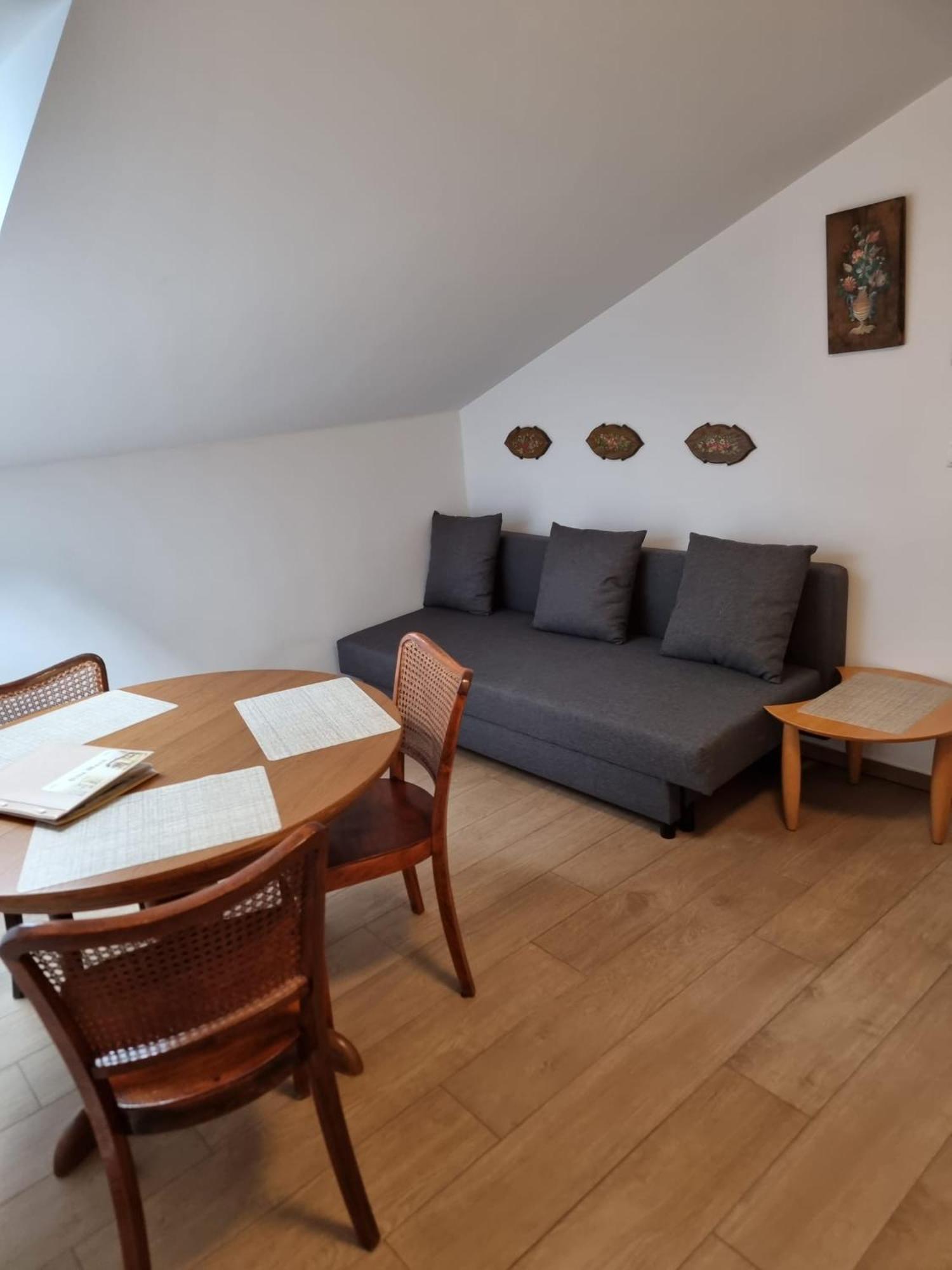 Villa Musik - Historical Apartments In Baden Extérieur photo